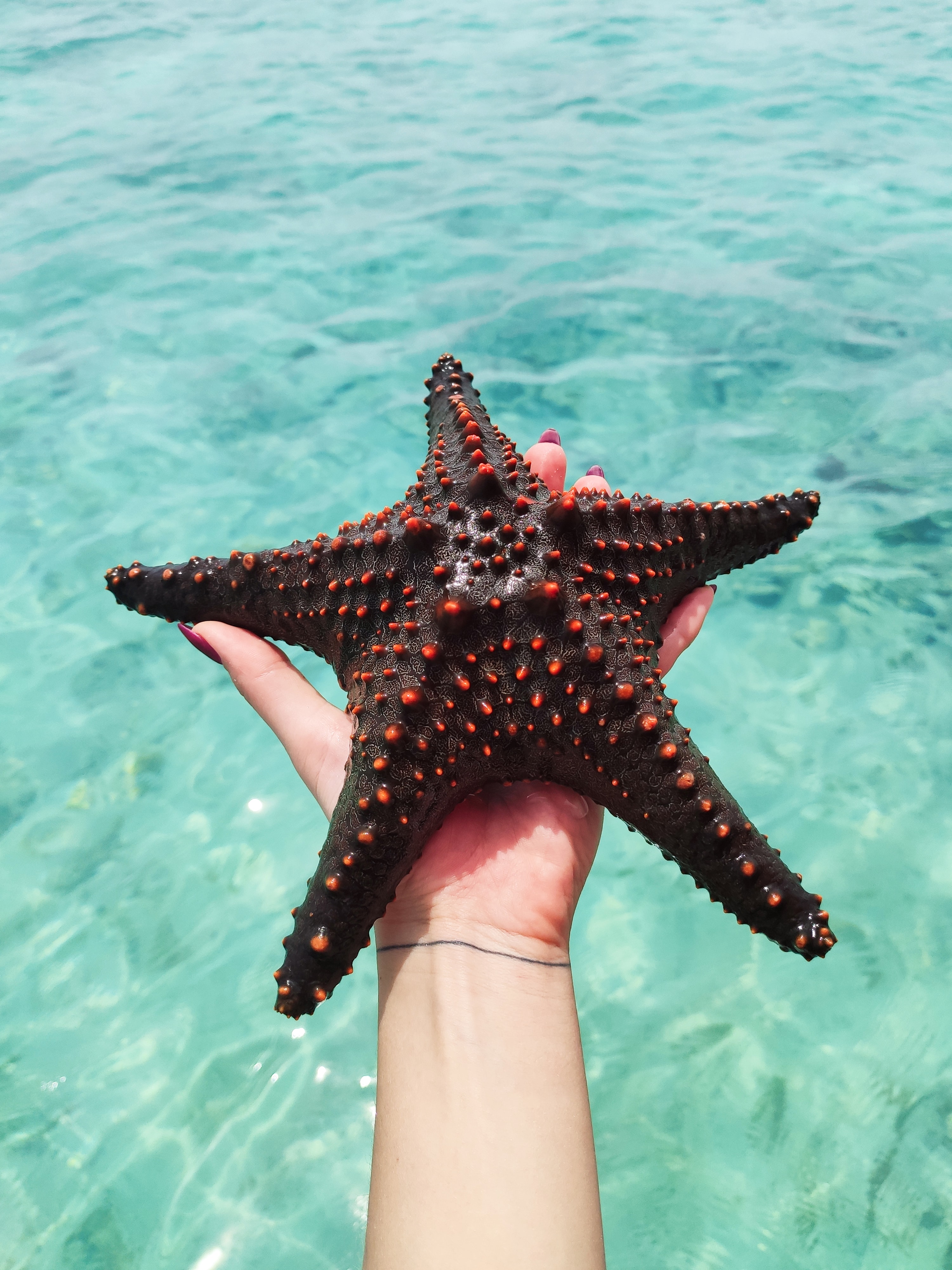 aleksandra-khoroshykh-f0vQ-o8XVjM-unsplash